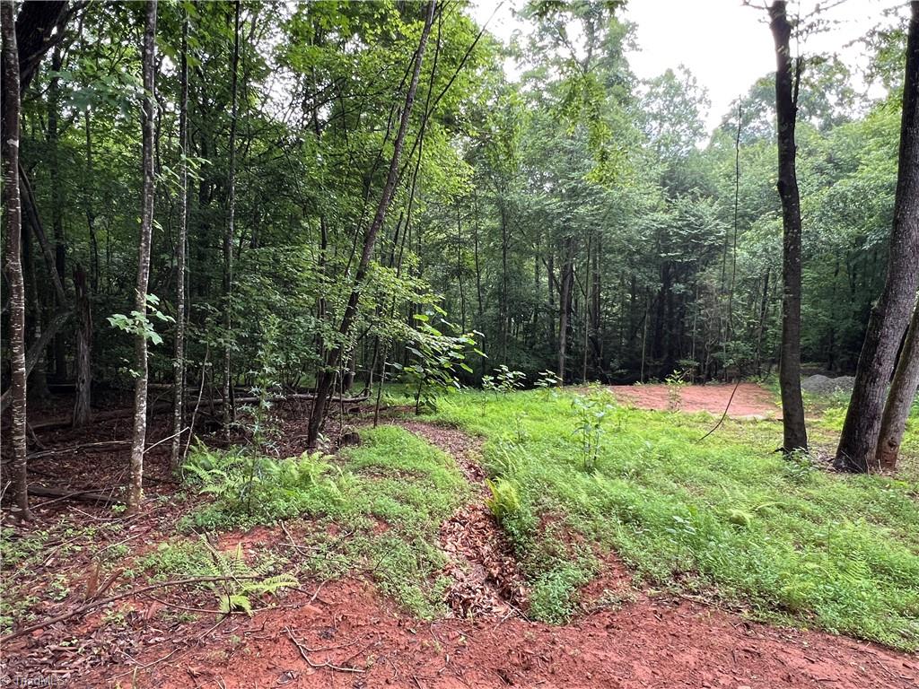 Tbd Staghorn Road Purlear, NC 28665 - Photo 14 of 50 One of many potential building sites