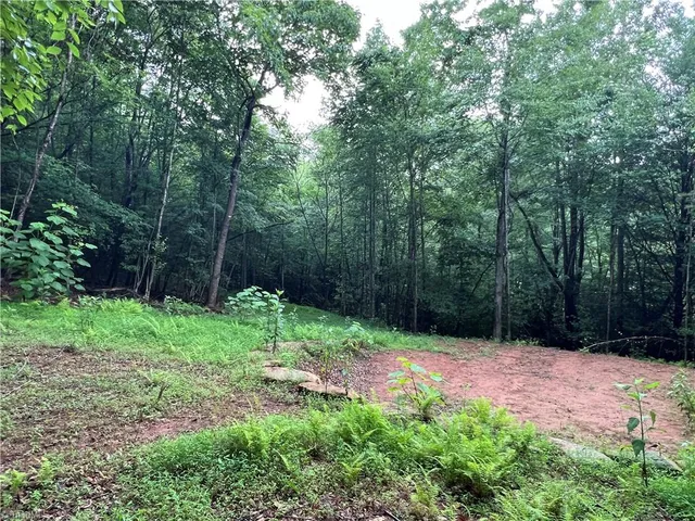 $149,900 | Tbd Staghorn Road, Purlear, NC 28665