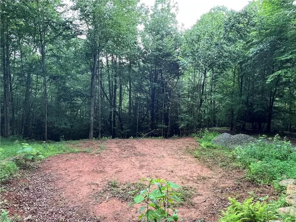 $149,900 | Tbd Staghorn Road, Purlear, NC 28665