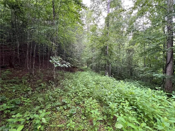 $149,900 | Tbd Staghorn Road, Purlear, NC 28665