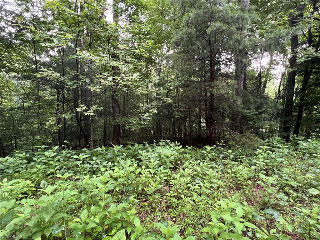 Tbd Staghorn Road Purlear, NC 28665 - Photo 20 of 50