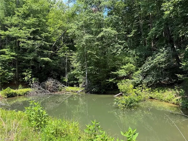 $149,900 | Tbd Staghorn Road, Purlear, NC 28665
