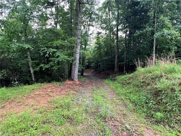 $149,900 | Tbd Staghorn Road, Purlear, NC 28665