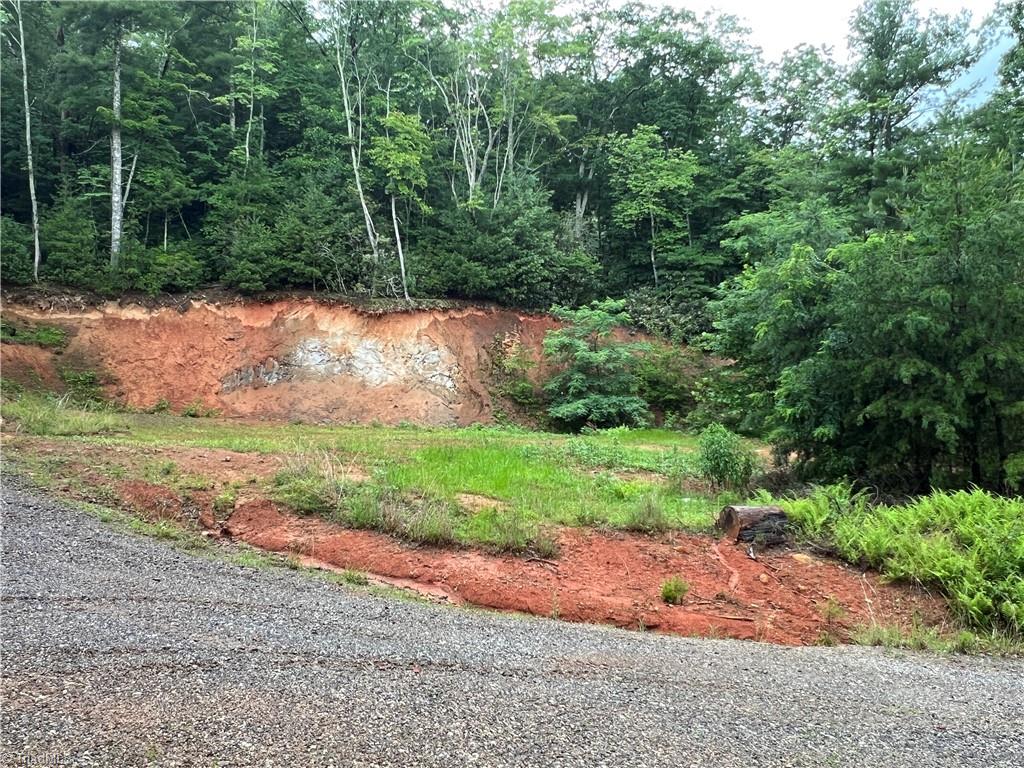 Tbd Staghorn Road Purlear, NC 28665 - Photo 23 of 50