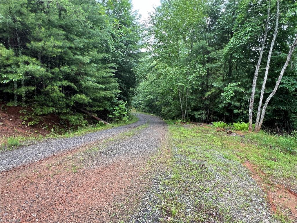 Tbd Staghorn Road Purlear, NC 28665 - Photo 29 of 50