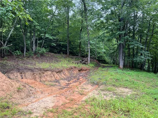 $149,900 | Tbd Staghorn Road, Purlear, NC 28665