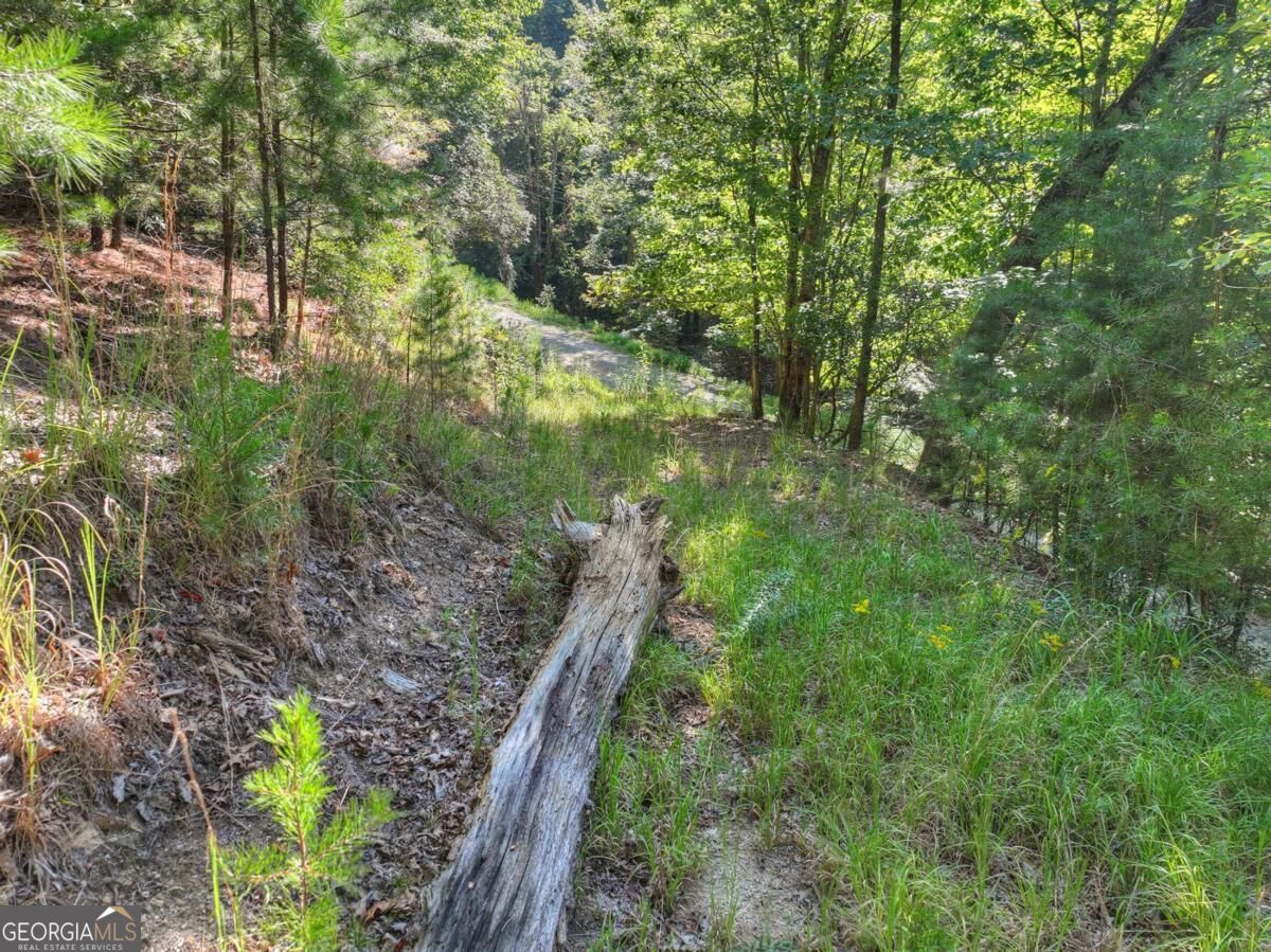 3.6-ac Prince Mountain Road Cherry Log, GA 30522 - Photo 18 of 22 Gallery Image 18