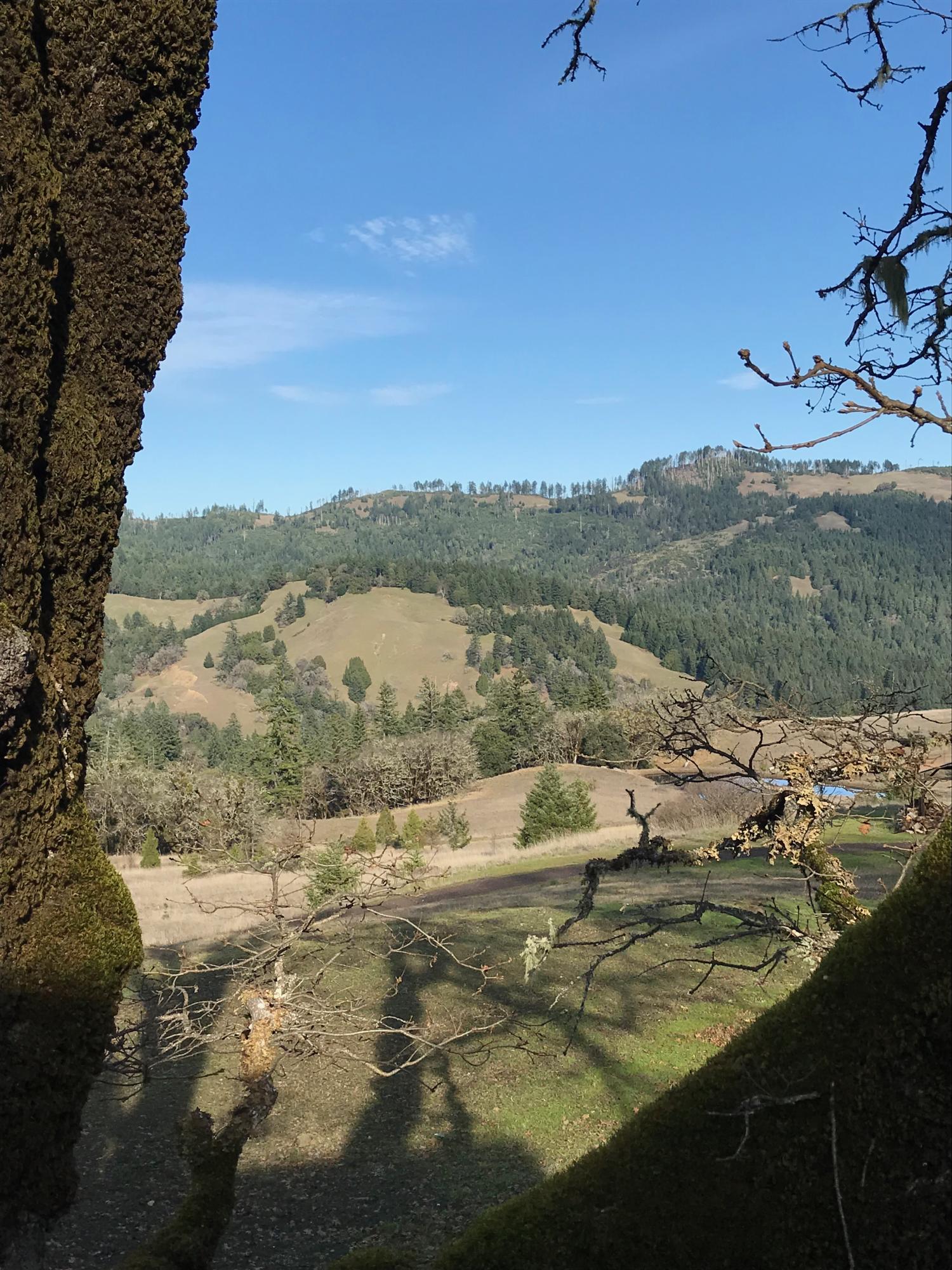 View from Deck