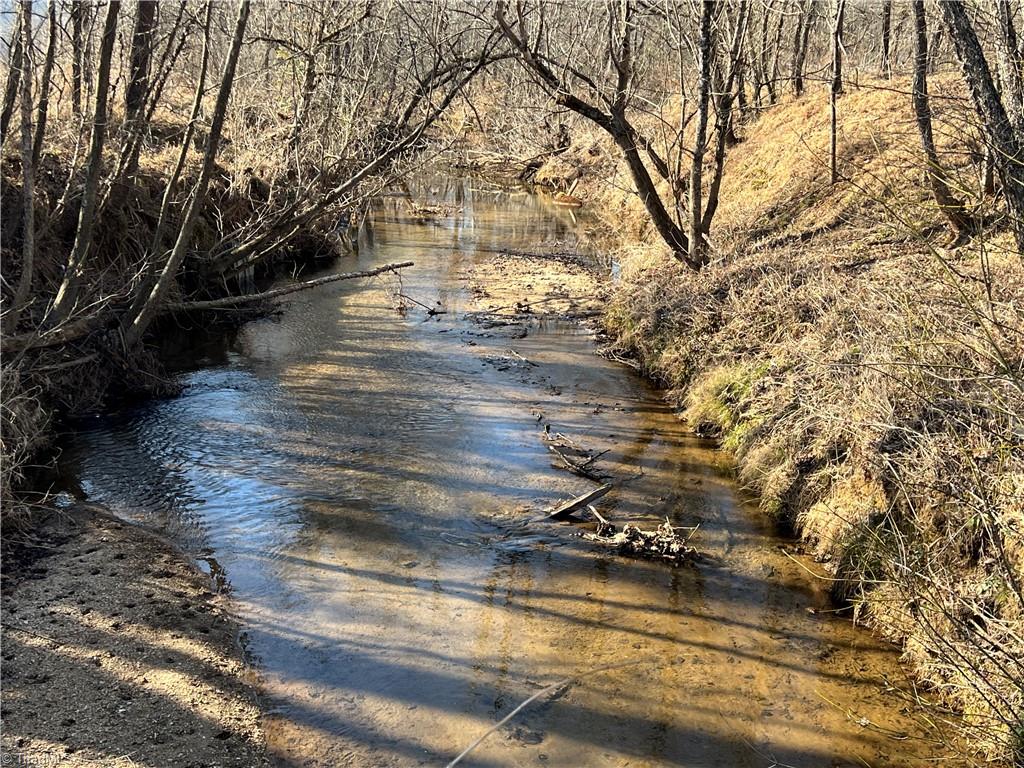 0 River Ridge Road Pfafftown, NC 27040 - Photo 3 of 4