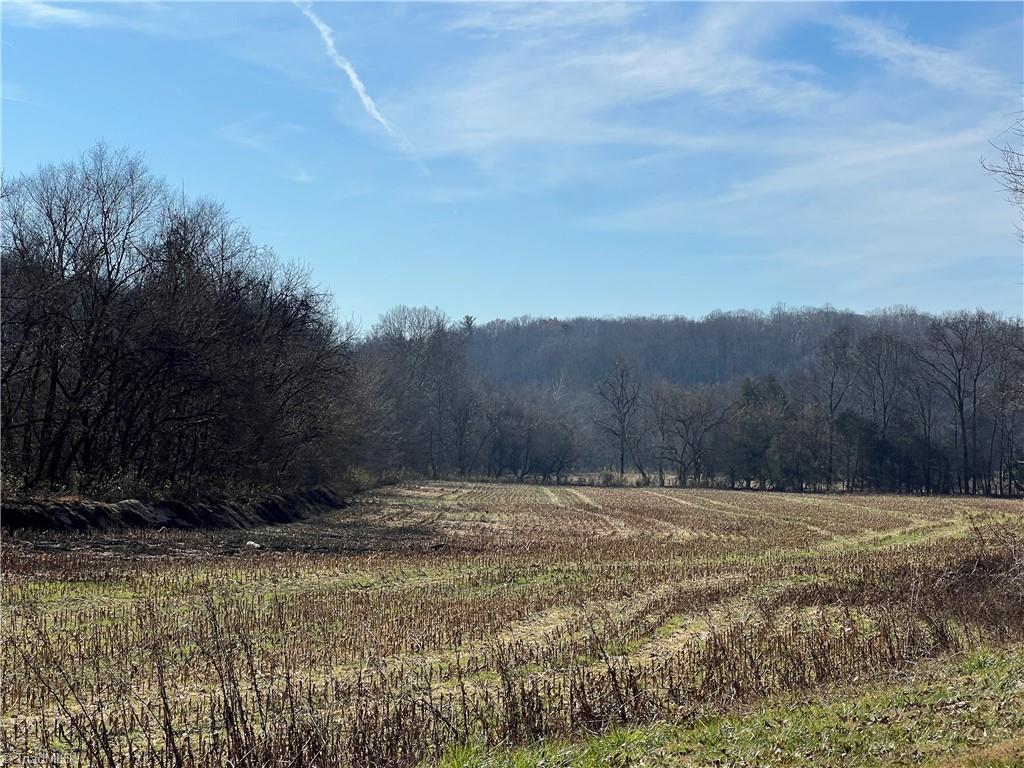 0 River Ridge Road Pfafftown, NC 27040 - Photo 4 of 4