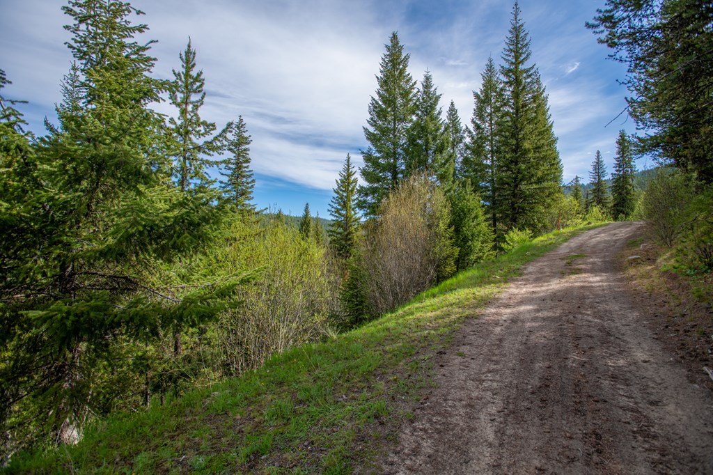 37 Clear Creek Road Cascade, ID 83611 - Photo 4 of 8