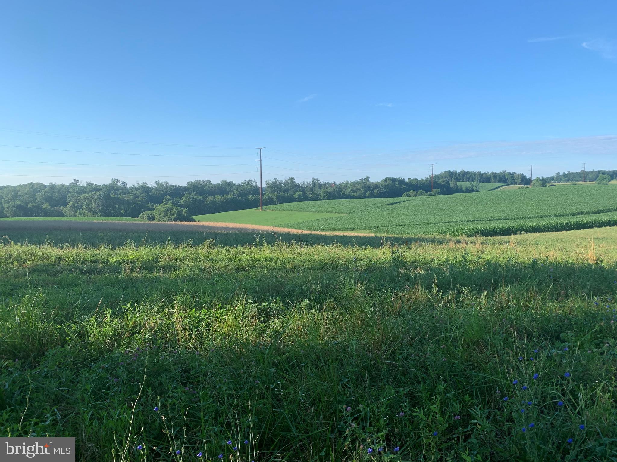 Lot 3 Haugh Road Stewartstown, PA 17363 - Photo 1 of 2 Gallery Image 1
