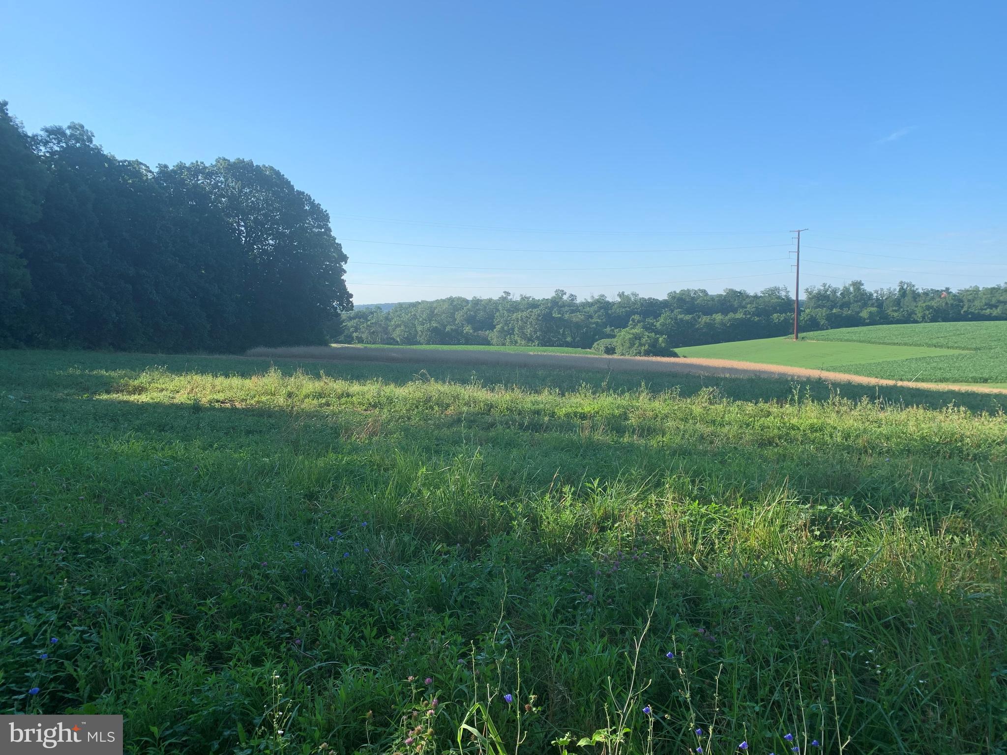Lot 3 Haugh Road Stewartstown, PA 17363 - Photo 2 of 2 Gallery Image 2