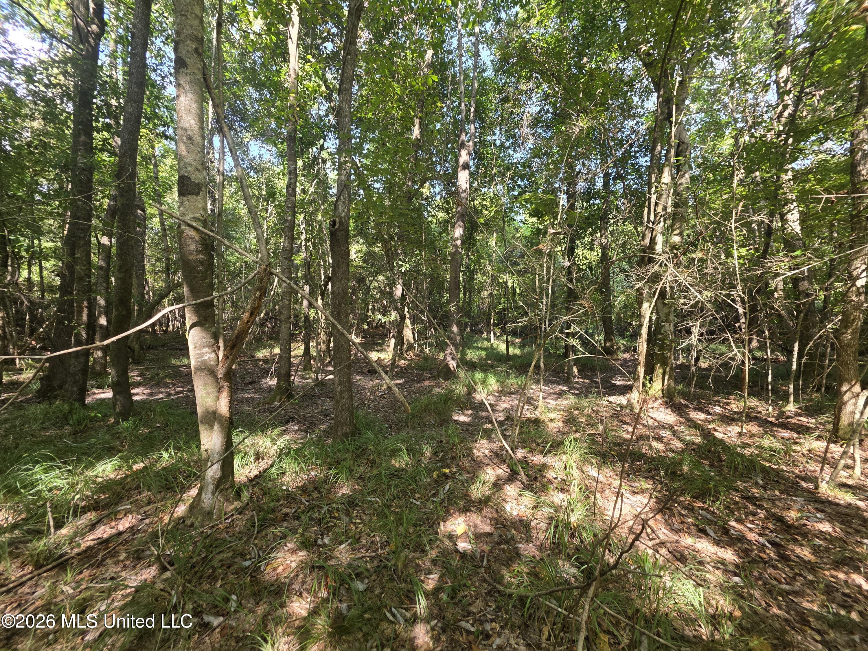 St Paul Road Sandy Hook, MS 39478 - Photo 13 of 16 40385