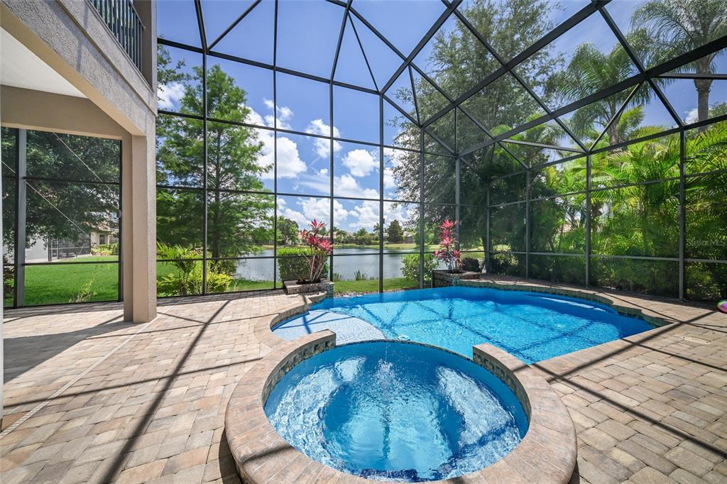 14806 Bowfin Terrace Lakewood Ranch, FL 34202 - Photo 49 of 58 a view of a swimming pool with a patio