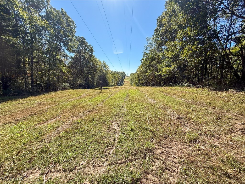 Layman Road Vincent, OH 45784 - Photo 2 of 35 View of yard