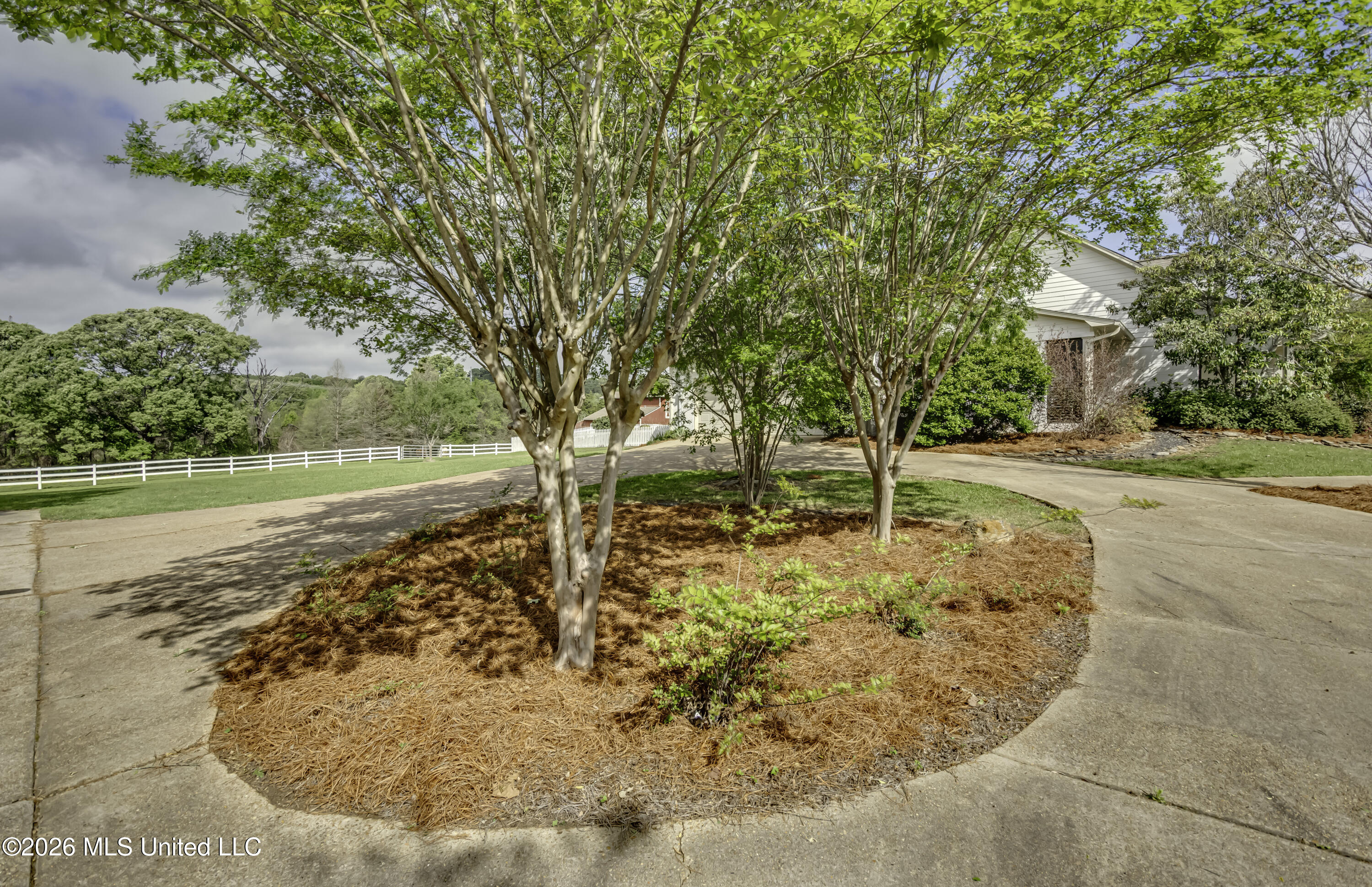 154 Oakdale Road Madison, MS 39110 - Photo 84 of 92 154 Oakdale--34 (1)