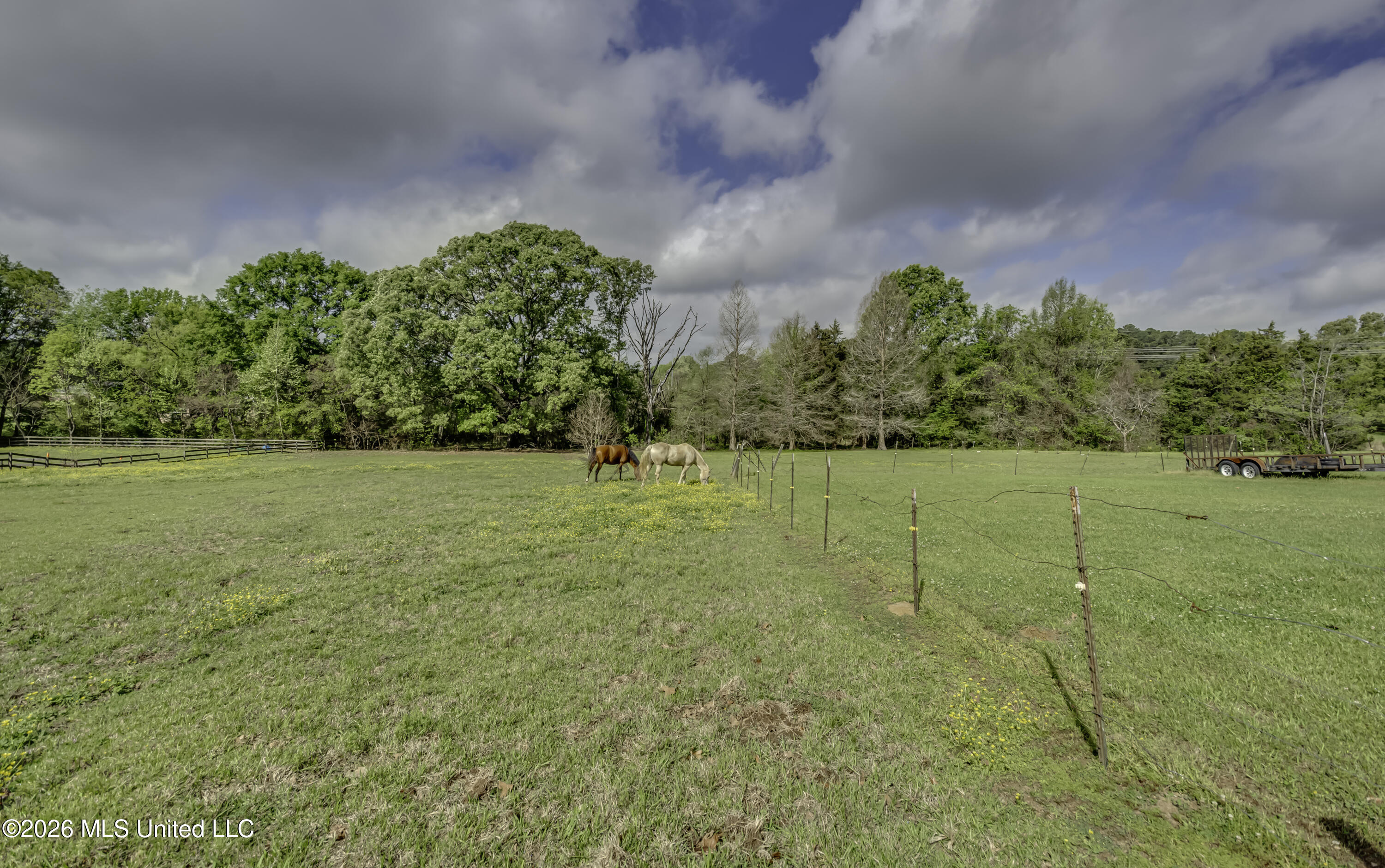 154 Oakdale Road Madison, MS 39110 - Photo 86 of 92 154 Oakdale--33
