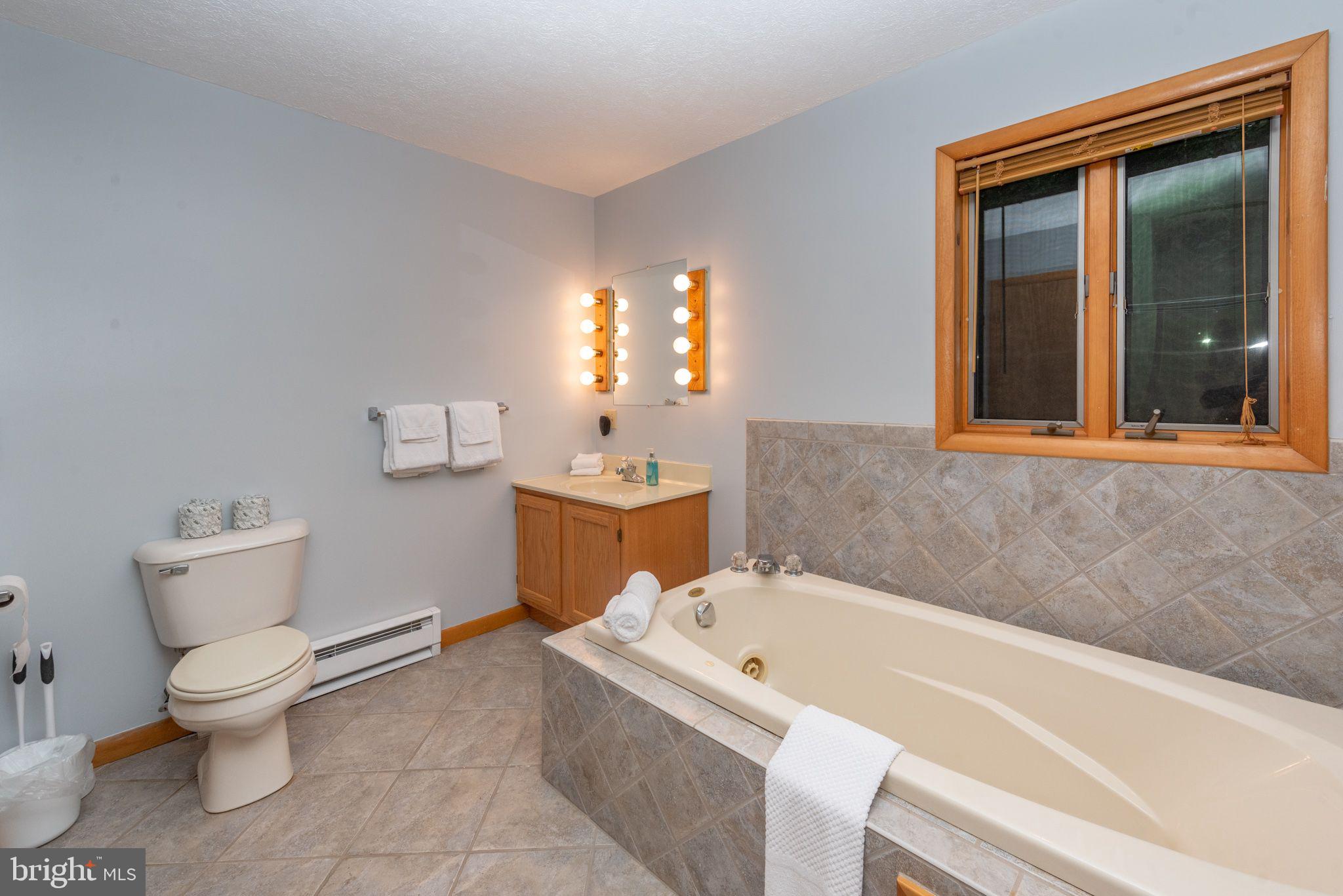 2667 Mayhew Inn Road Oakland, MD 21550 - Photo 11 of 44 a bathroom with a sink a toilet and bathtub