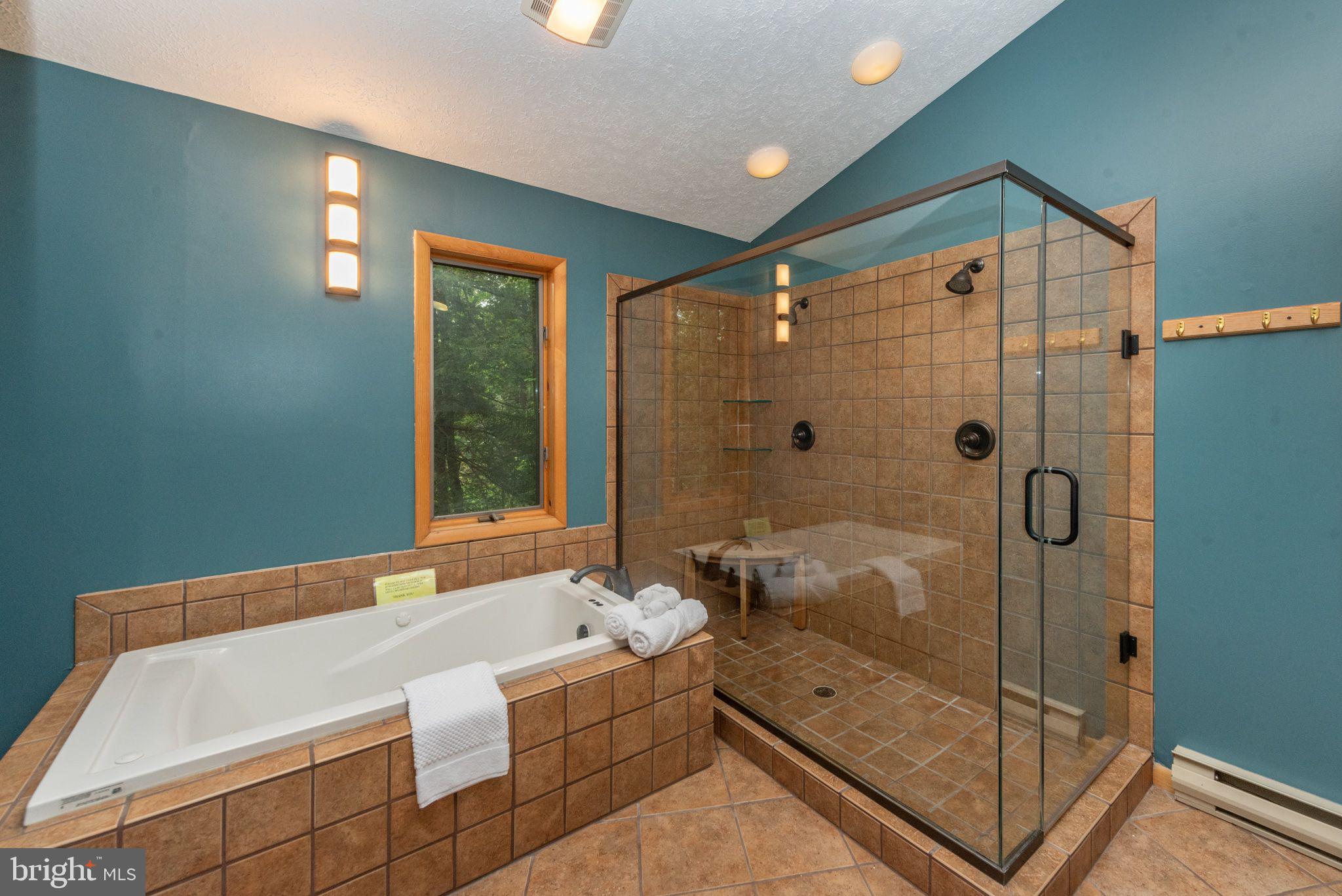 2667 Mayhew Inn Road Oakland, MD 21550 - Photo 18 of 44 a bathroom with a tub and shower