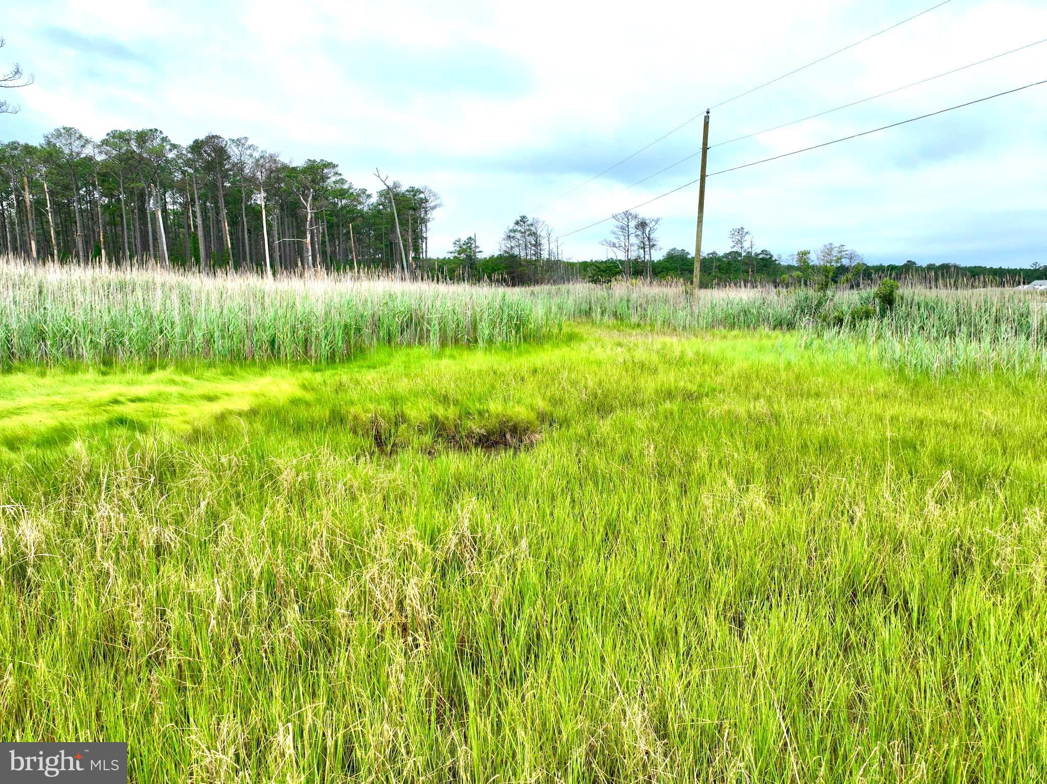 0 Hooper Neck Road Madison, MD 21648 - Photo 40 of 129