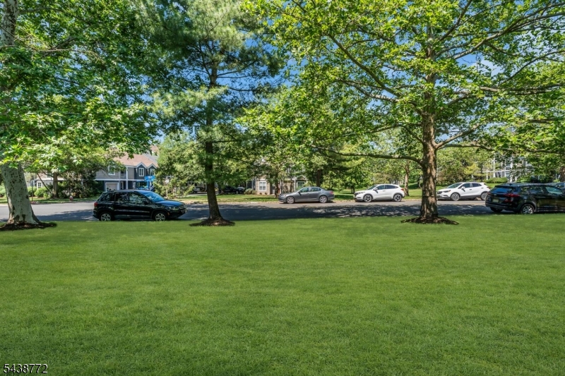 213 Longview Road Bridgewater, NJ 08807 - Photo 47 of 47