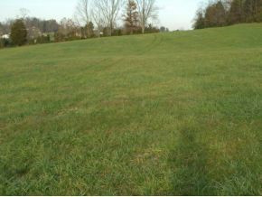 0 Boyd Road Bluff City, TN 37618 - Photo 1 of 3 Beautiful Land