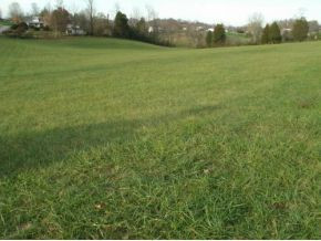 0 Boyd Road Bluff City, TN 37618 - Photo 3 of 3 Countryside Living