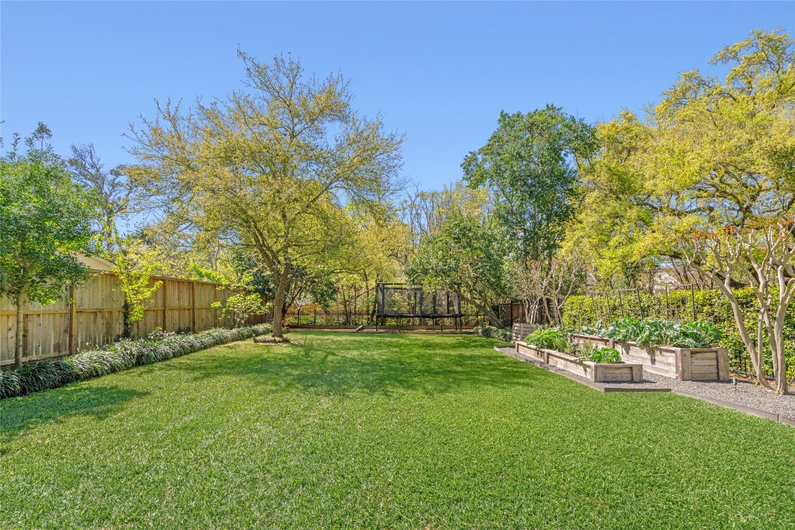 6614 Mercer Street Houston, TX 77005 - Photo 44 of 48 a view of a park with large trees