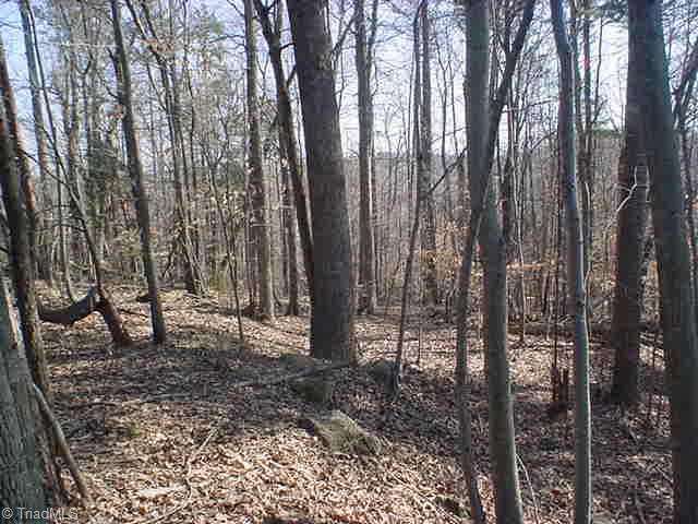 8251 Ballard Road Colfax, NC 27235 - Photo 2 of 4 Other.