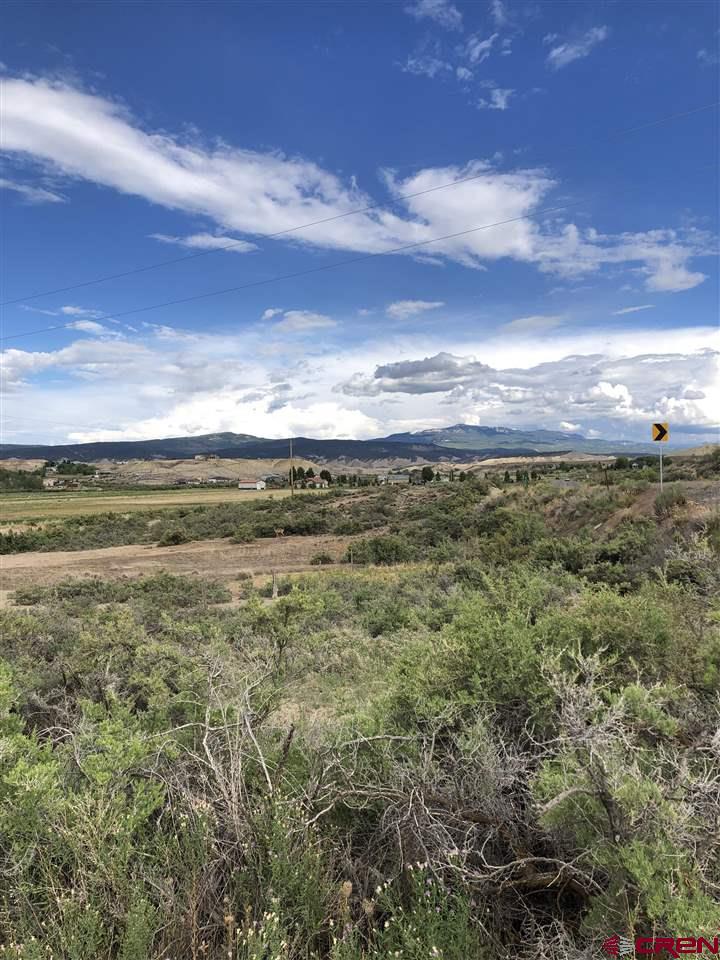 303 Kinikin Road Montrose, CO 81403 - Photo 4 of 17 Gallery Image 4