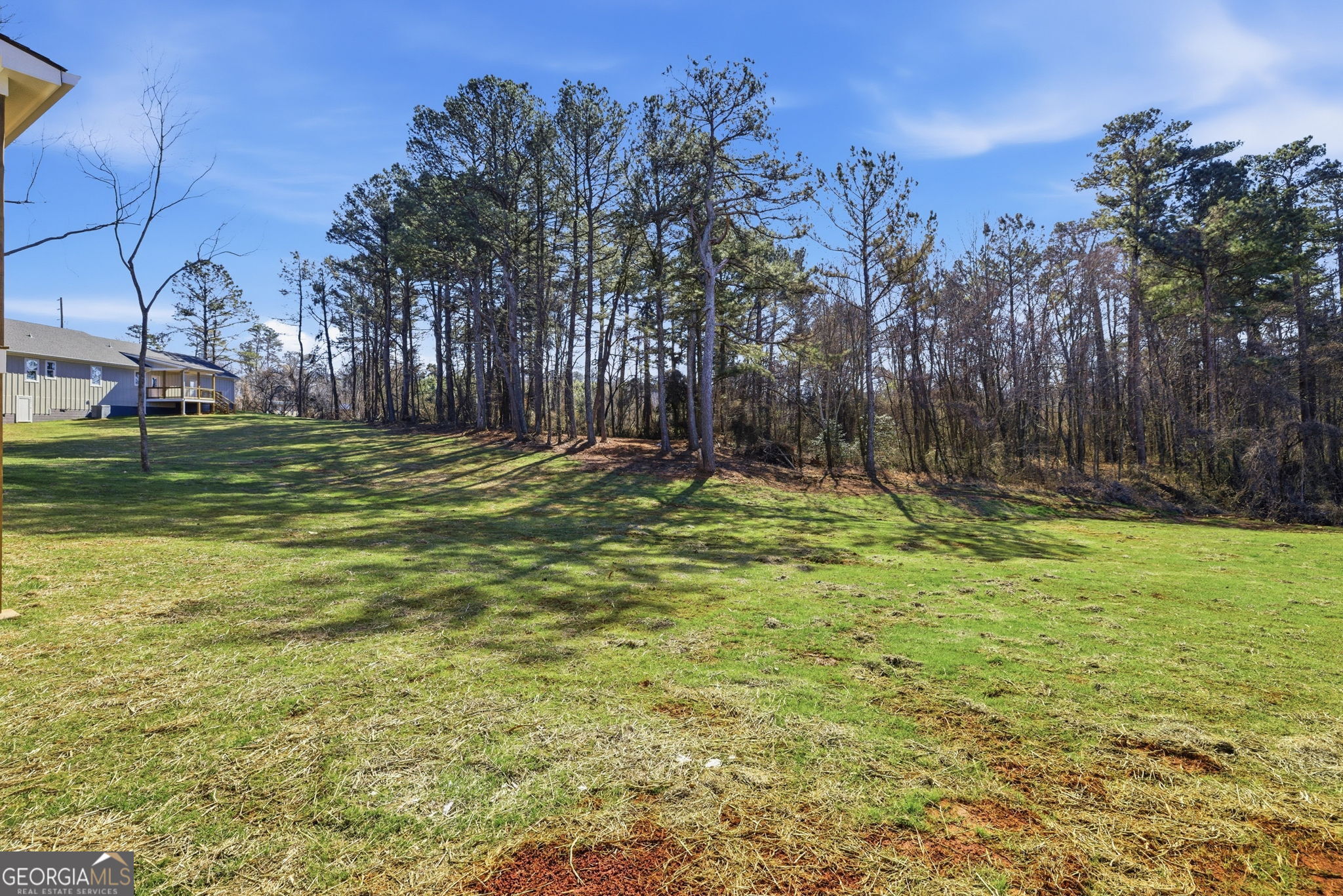 238 Carl Loudermilk Road Mount Airy, GA 30563 - Photo 26 of 28 a yard with swimming pool and trees
