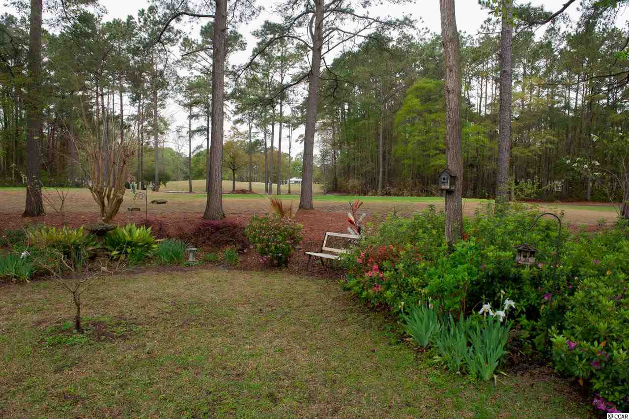 87 Purple Martin Drive Murrells Inlet, SC 29576 - Photo 17 of 25 Gallery Image 17