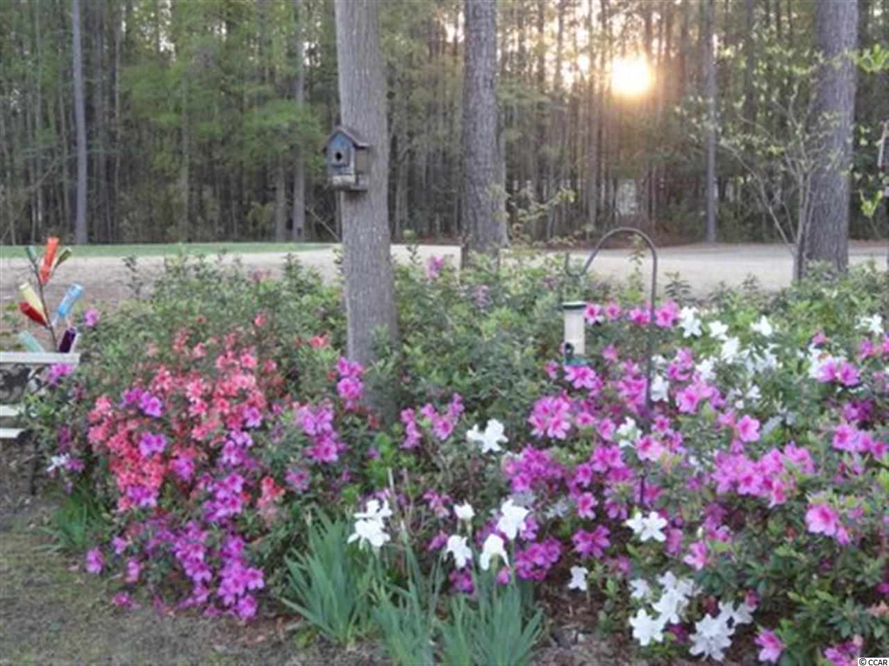 87 Purple Martin Drive Murrells Inlet, SC 29576 - Photo 22 of 25 Gallery Image 22