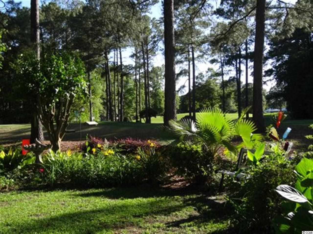 87 Purple Martin Drive Murrells Inlet, SC 29576 - Photo 24 of 25 Gallery Image 24