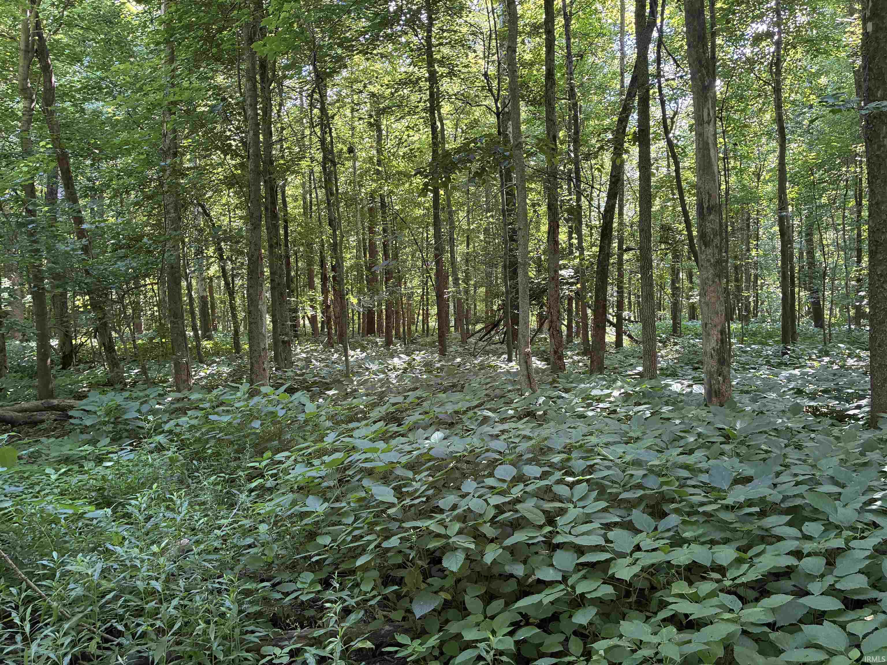 257 State Road Velpen, IN 47590 - Photo 18 of 29
