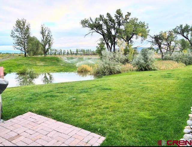 901 6530 Road, Unit 2813 Montrose, CO 81401 - Photo 23 of 34 a view of a lake with a yard and large trees