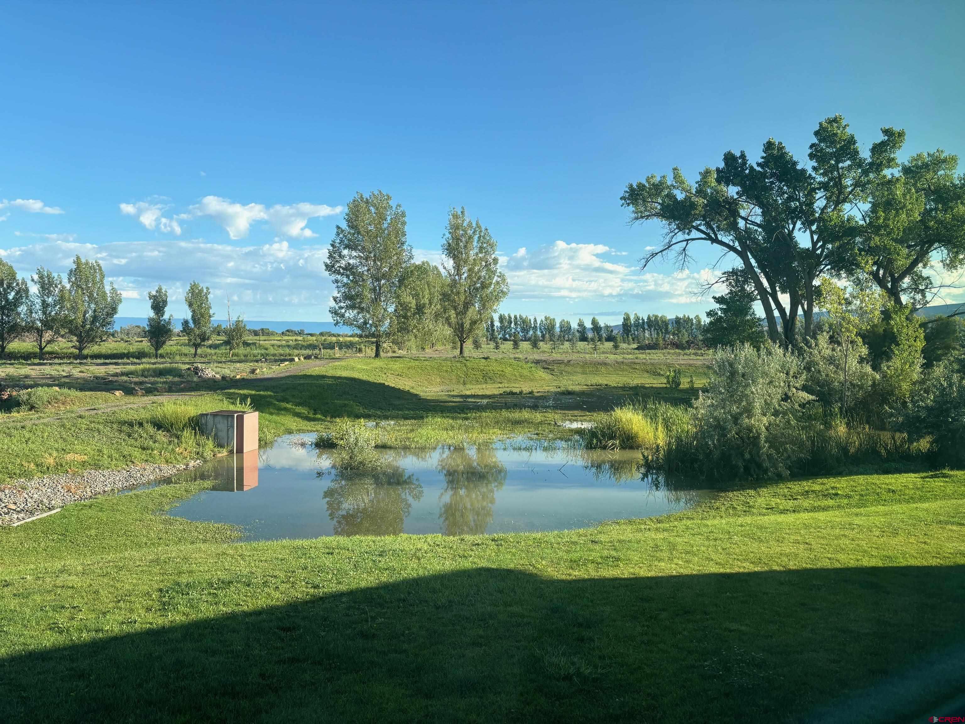 901 6530 Road, Unit 2813 Montrose, CO 81401 - Photo 29 of 34 a view of a park