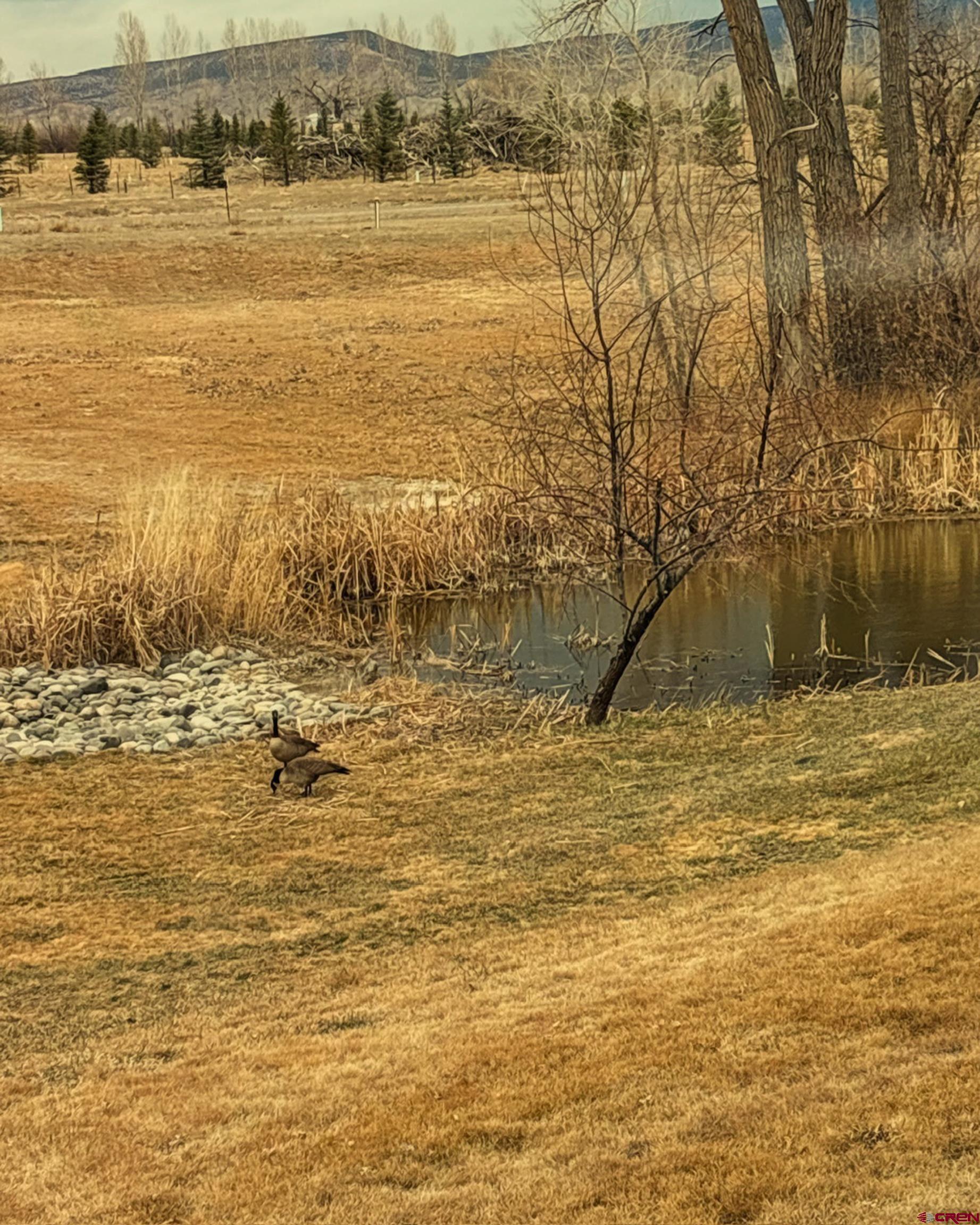 901 6530 Road, Unit 2813 Montrose, CO 81401 - Photo 33 of 34 a view of an ocean