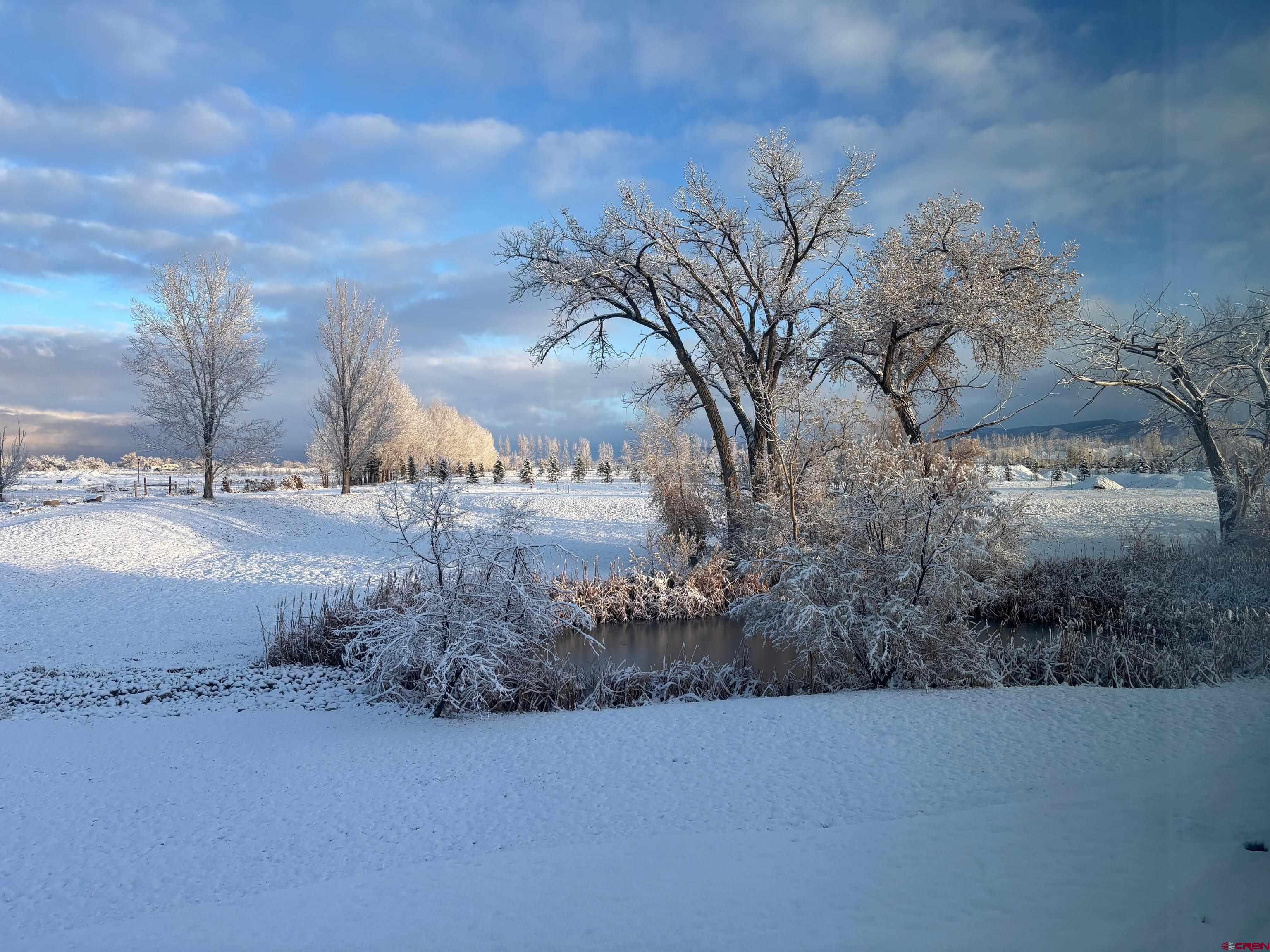 901 6530 Road, Unit 2813 Montrose, CO 81401 - Photo 34 of 34 a view of a dry yard with trees