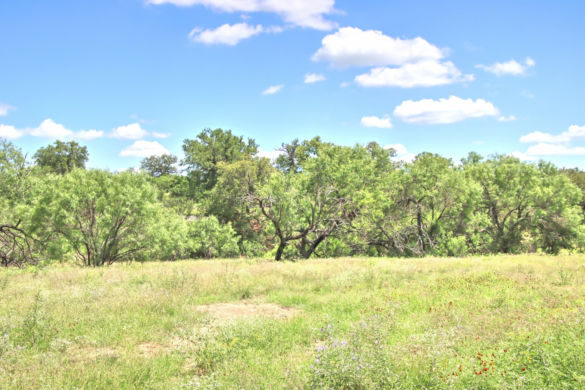 110 Rd Burnet Tx 78611 Road Burnet, TX 78611 - Photo 18 of 39