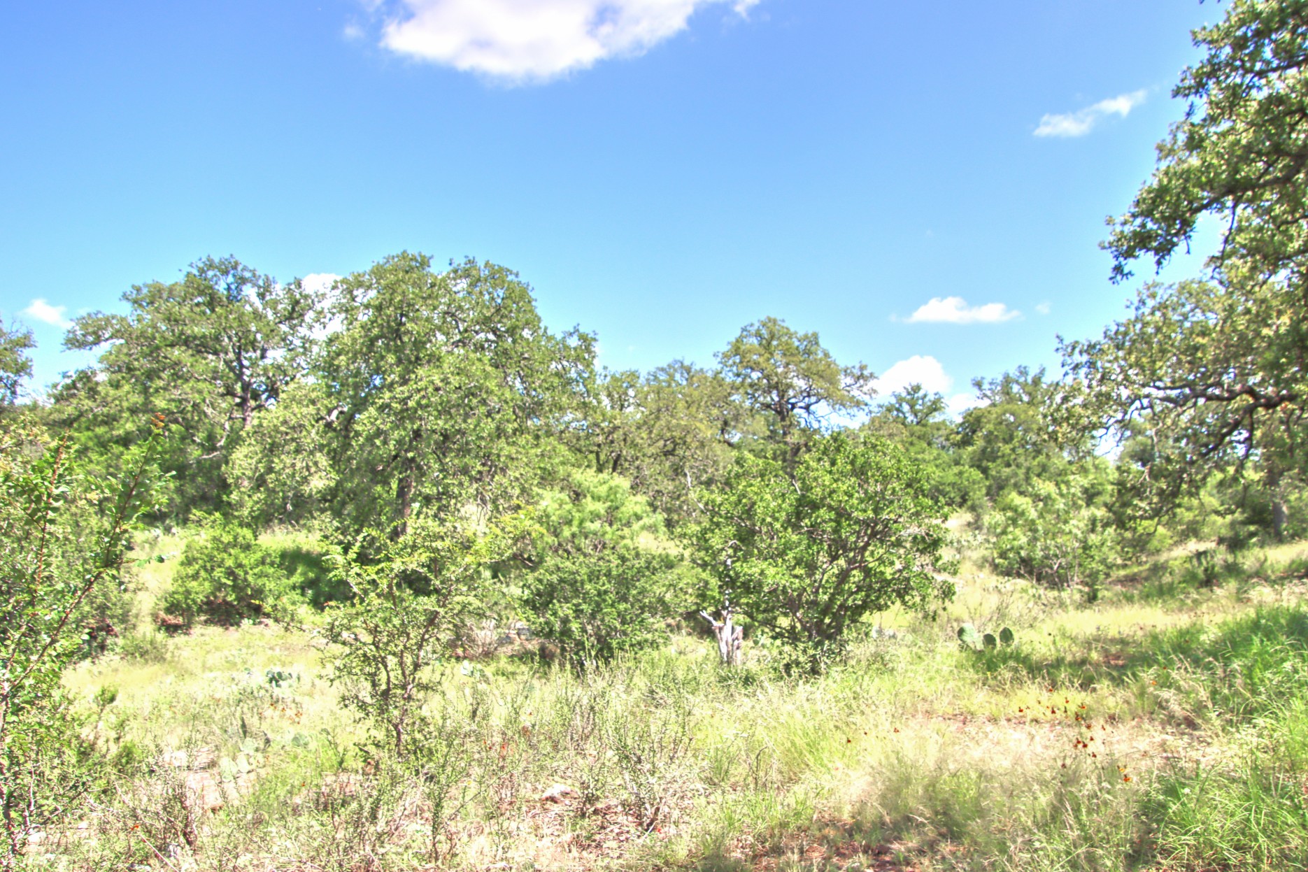 110 Rd Burnet Tx 78611 Road Burnet, TX 78611 - Photo 33 of 39 a view of a green field