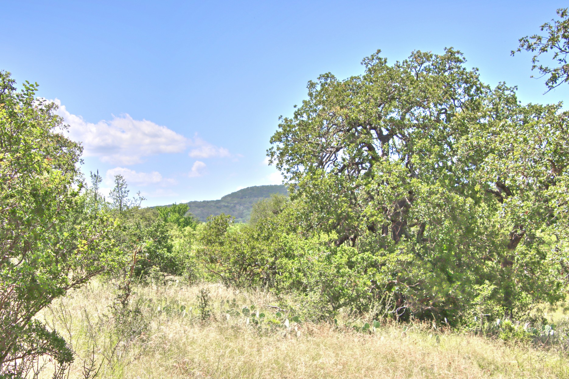 110 Rd Burnet Tx 78611 Road Burnet, TX 78611 - Photo 36 of 39