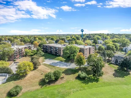 a view of a yard with large trees