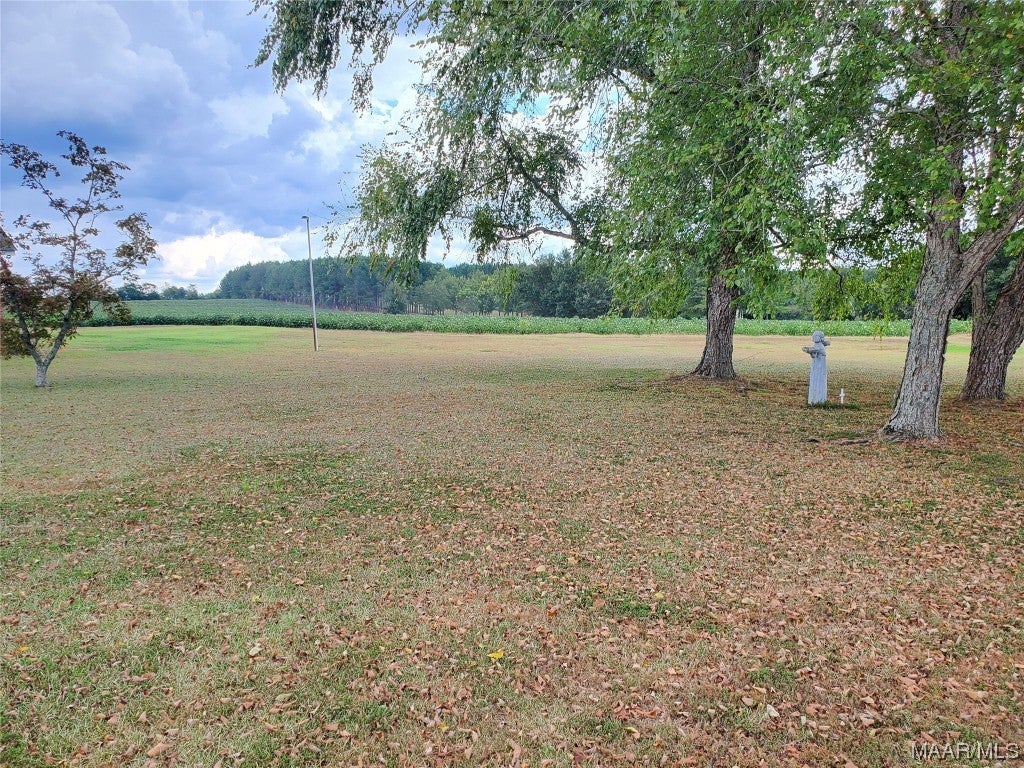 6646 Judge Logue Road Newton, AL 36352 - Photo 31 of 33 Gallery Image 31