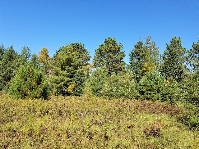 Lot 15 Weber Lake Road Mercer, WI 54547 - Photo 15 of 21 Gallery Image 15