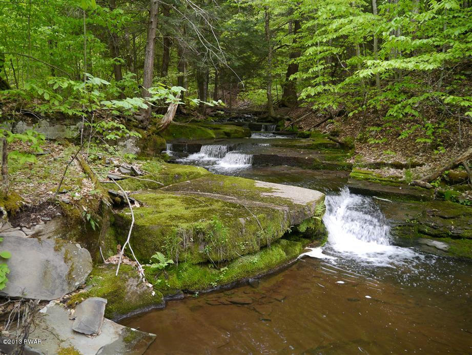 Lot 2 Layton Road Equinunk, PA 18417 - Photo 13 of 17