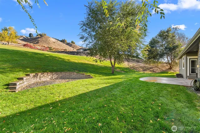 a backyard of a house with plants and large tree