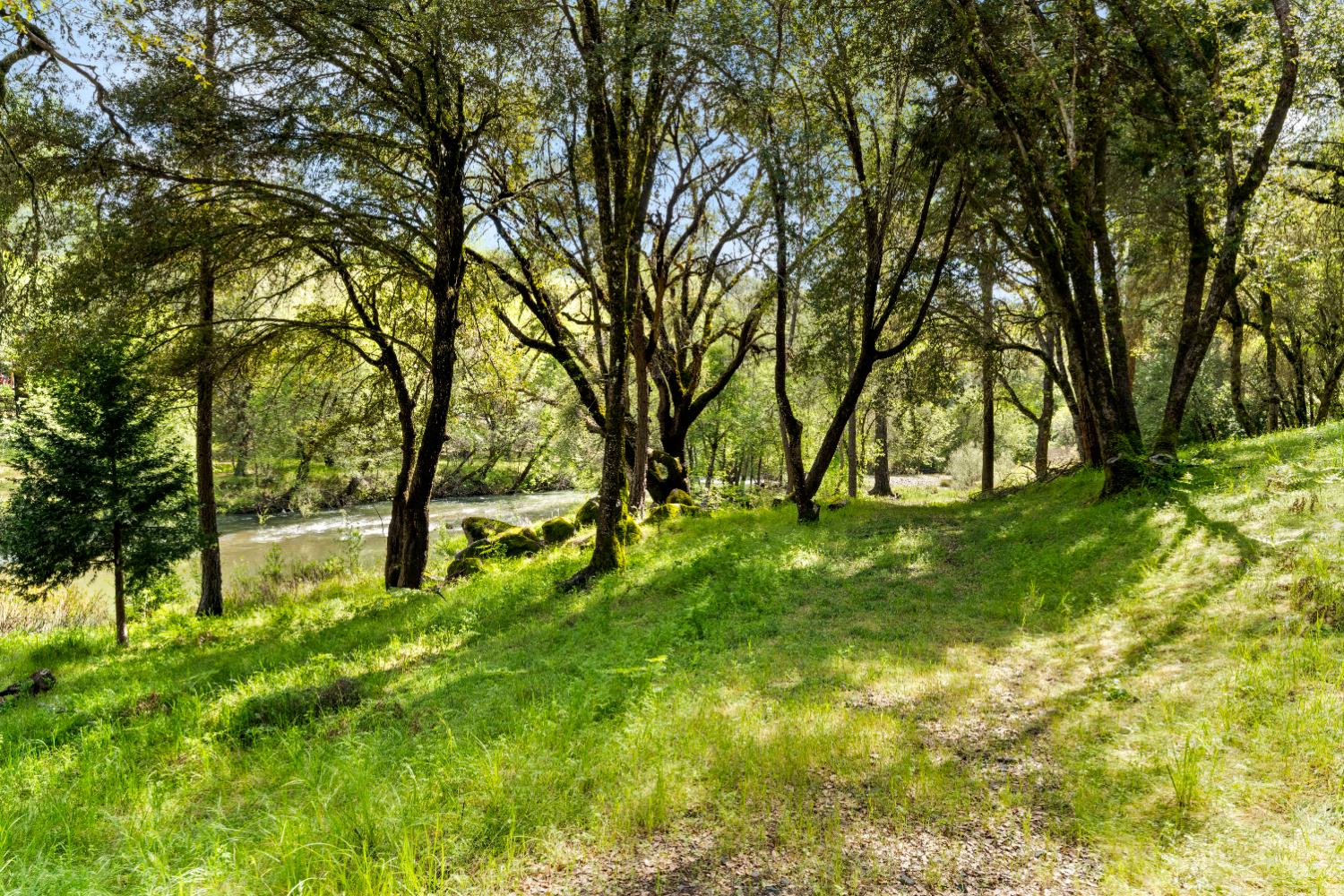 7321 Morning Canyon Road Placerville, CA 95667 - Photo 27 of 39 a view of backyard with tree