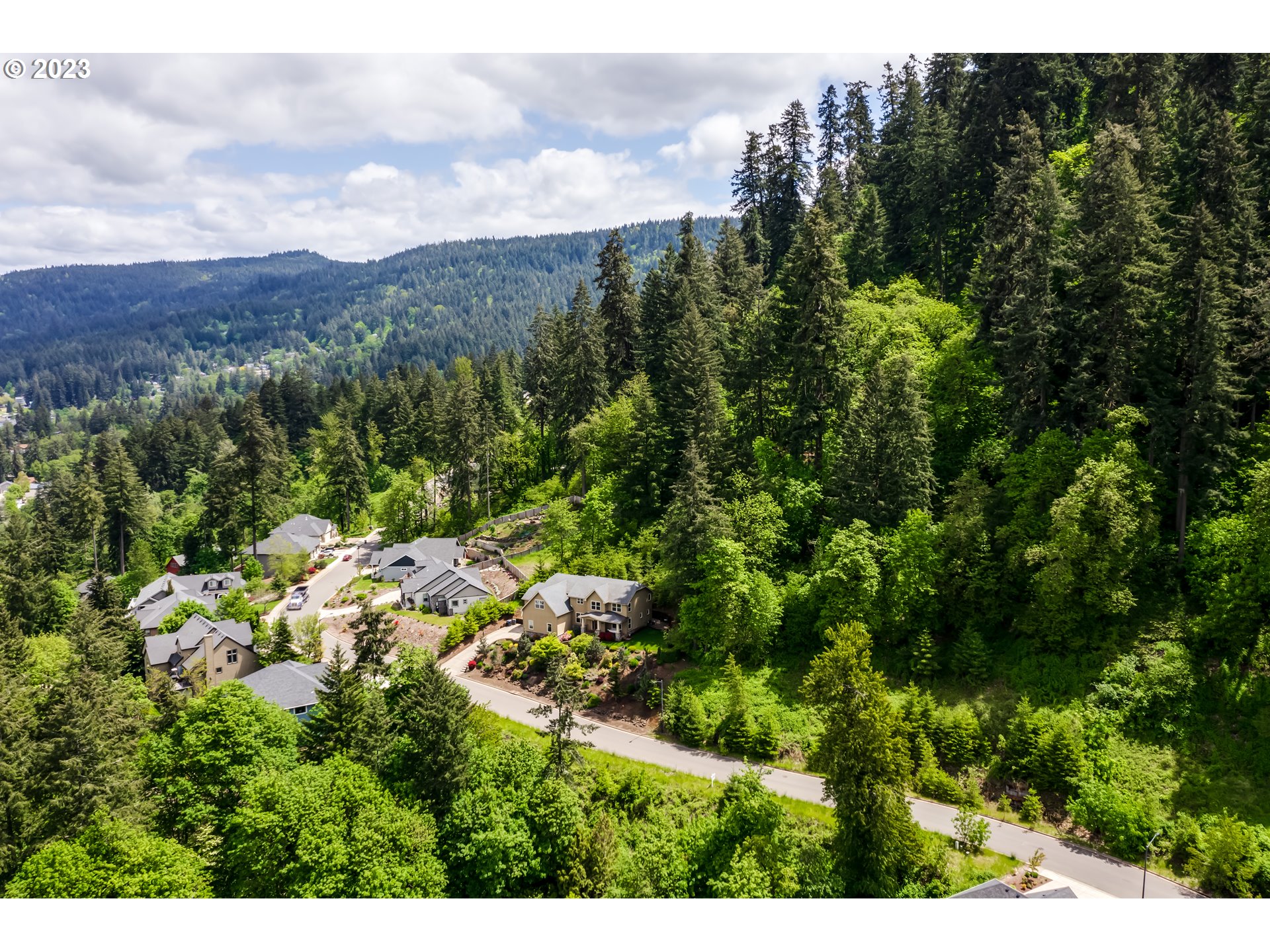 Forest Ridge Springfield, OR 97478 - Photo 2 of 10 a view of a city with lush green forest